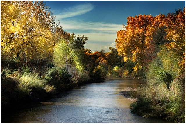 Fall Creek