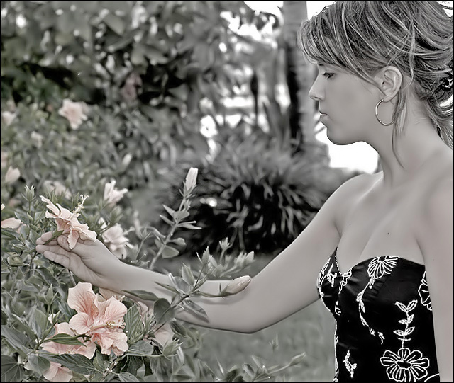 Fashion1