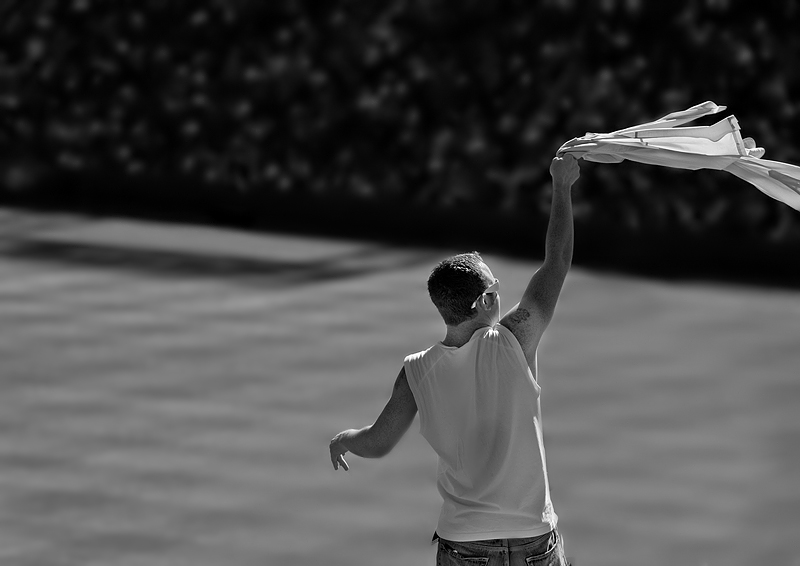 The Fan