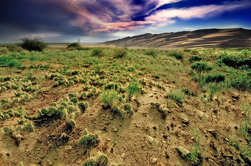 The High Desert