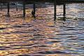 Water,Dock.jpg