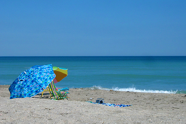 Winter-in-Fla..jpg