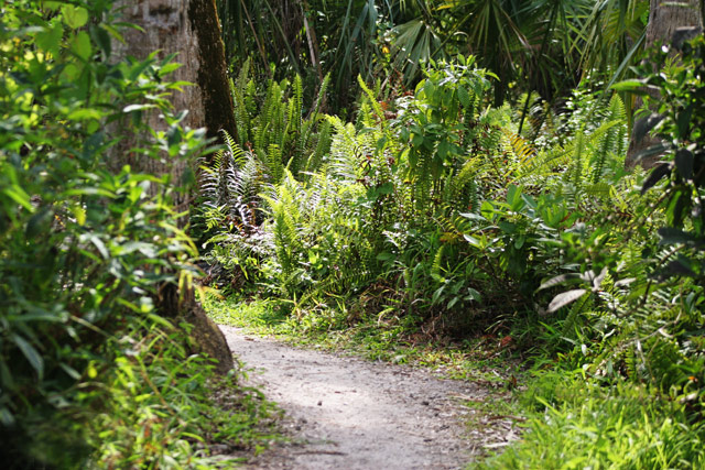 Trail at ORCA