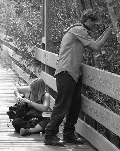 Film-vs.-Digital.jpg