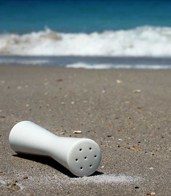 Day 10 - Sea Salt