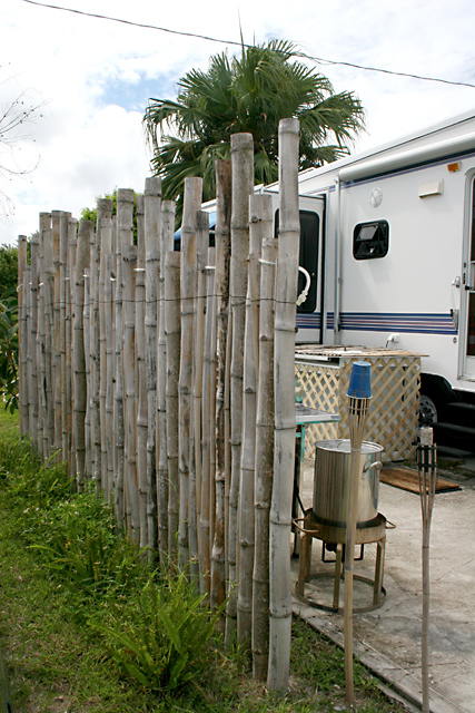 Bamboo-Fence.jpg
