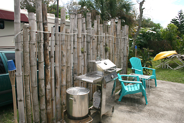 bamboo-fence-2.jpg
