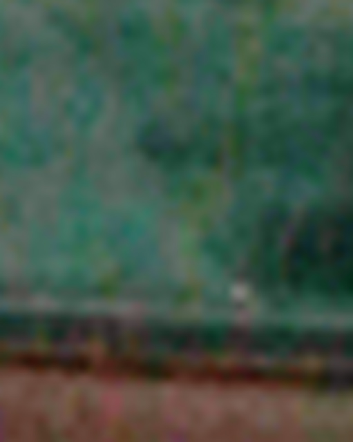 Image #1 Enlarged