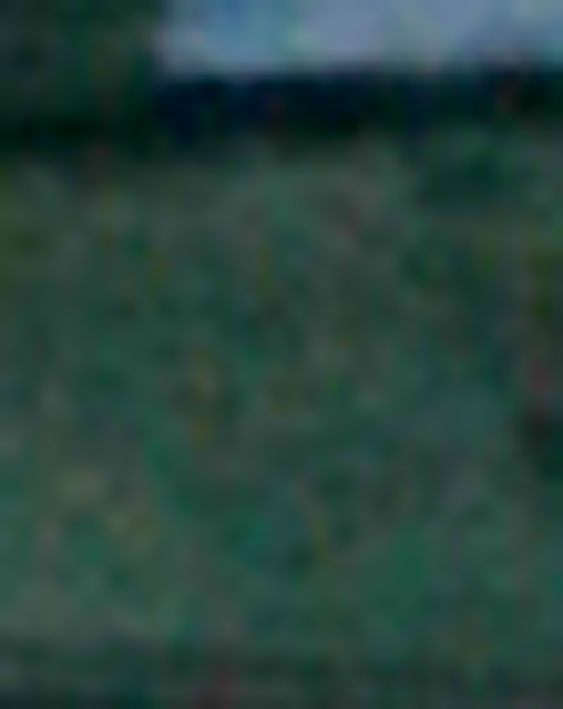 Image #2 Enlarged