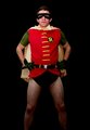 Robin