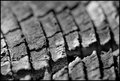 macro1.jpg