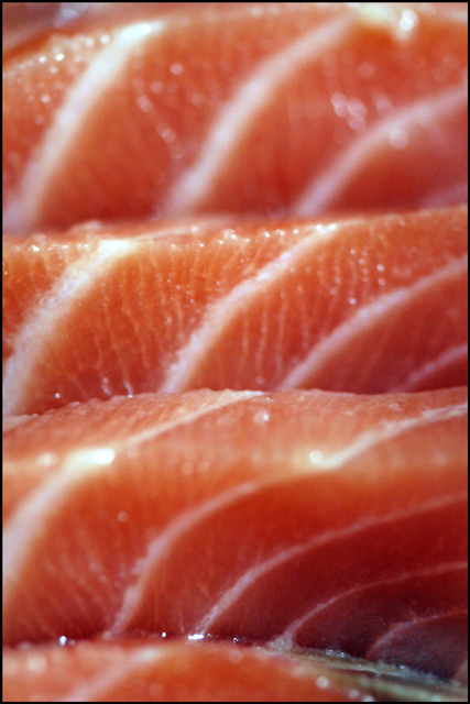 fish.jpg