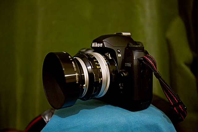 d70s.jpg
