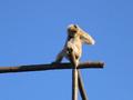 Picture 026.jpg