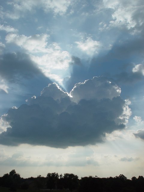 Hope out-take