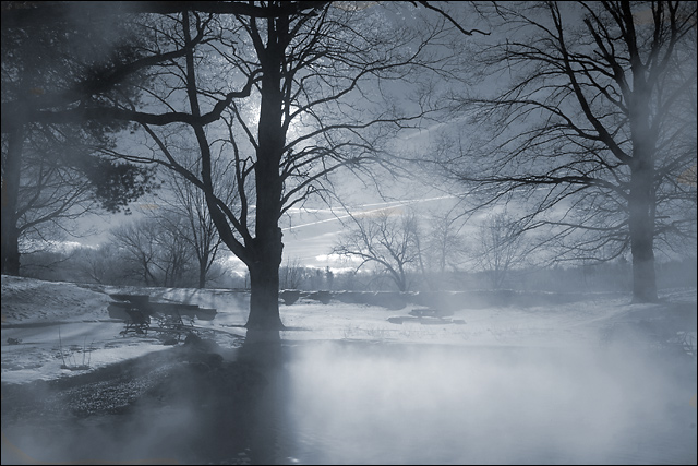 Silver Mist