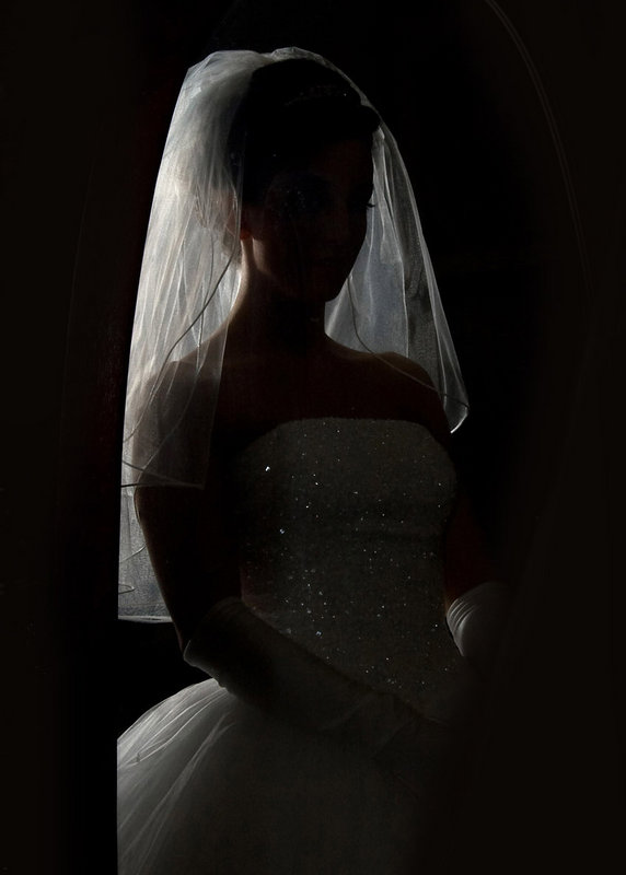 Bridal Silhouette 