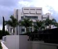 4 1/2 Palms Wide