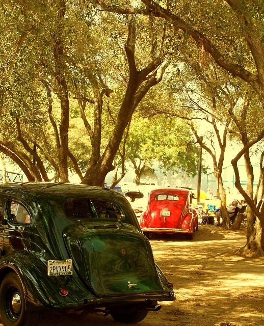 Under the Trees