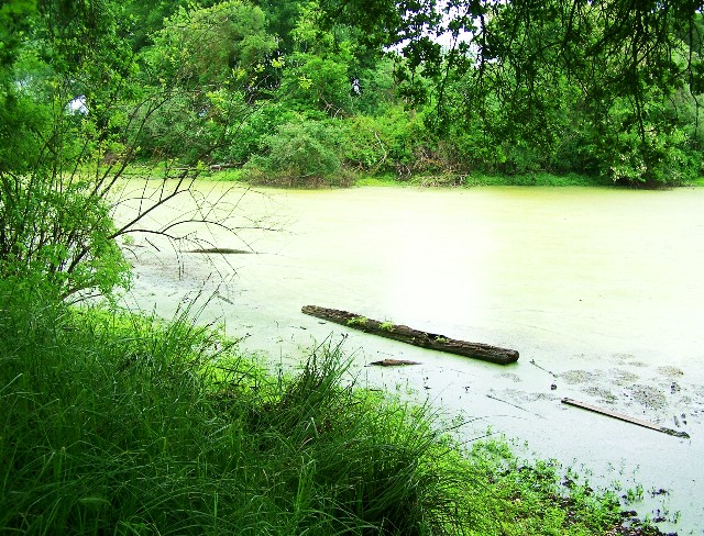 Still Afloat