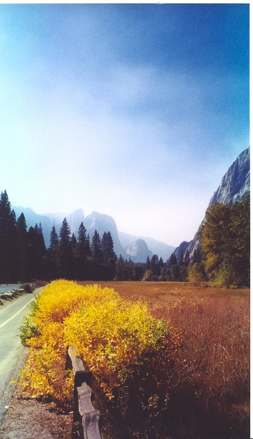 Biking in Yosemite