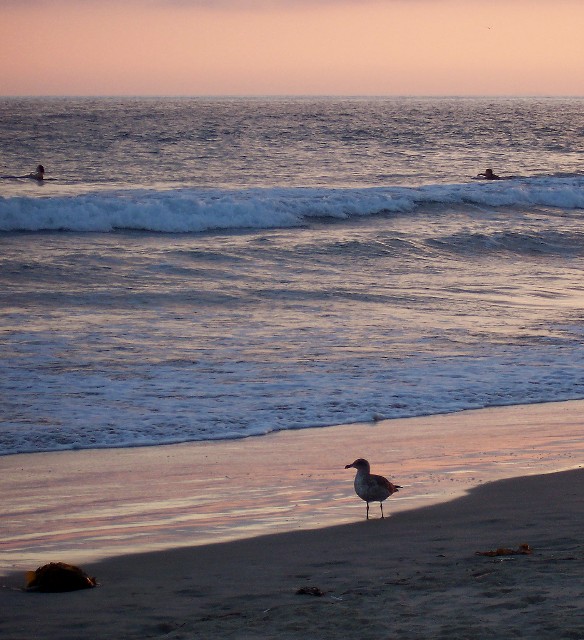 Beach Walk