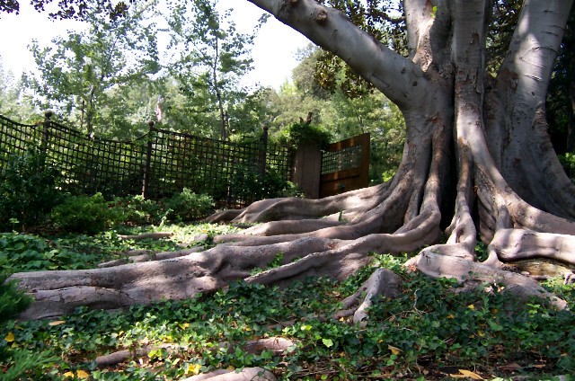 Secret Garden