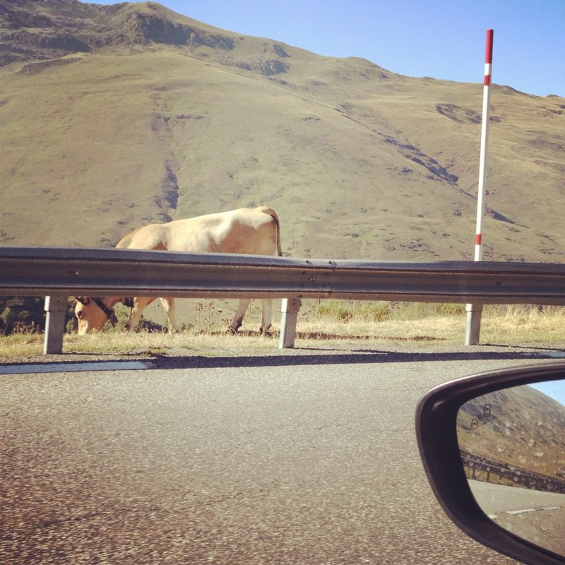high pastures