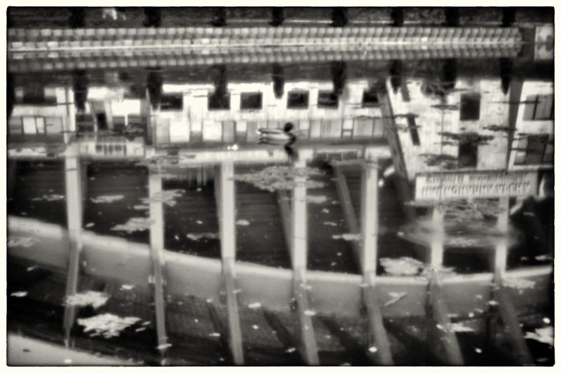 Day 7 - Pinhole Duck + Stadium