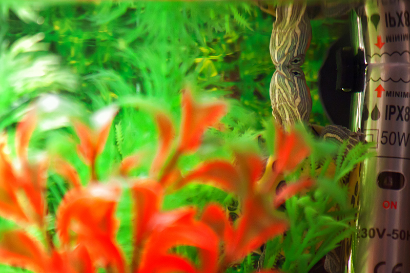 Day 27 - Periscope Depth