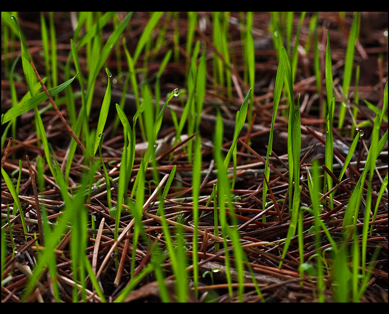 And the way I feel it must be spring