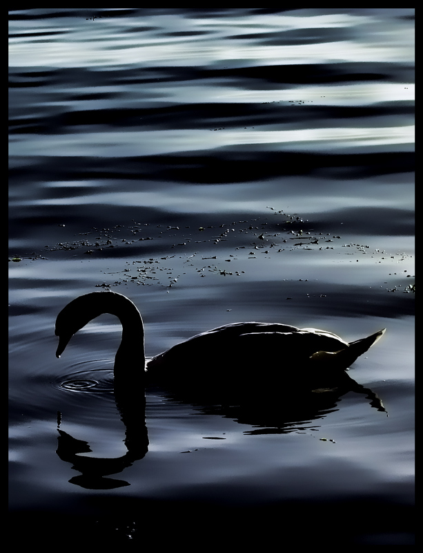 Quietly