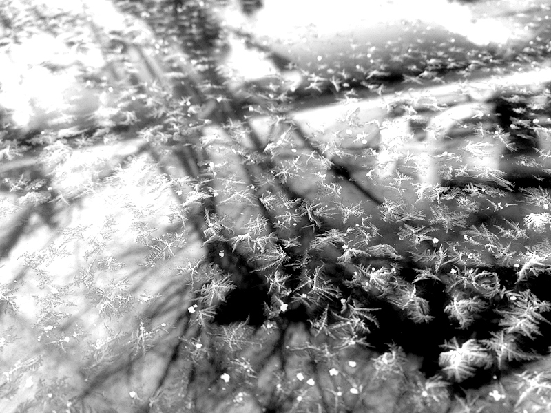 Subclimate