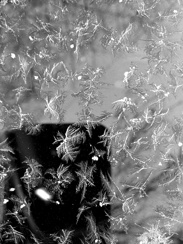 Ice flowers