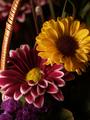 Flowers in a Basket