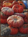 Pumpkins.jpg