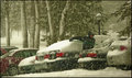 Blizzard 
