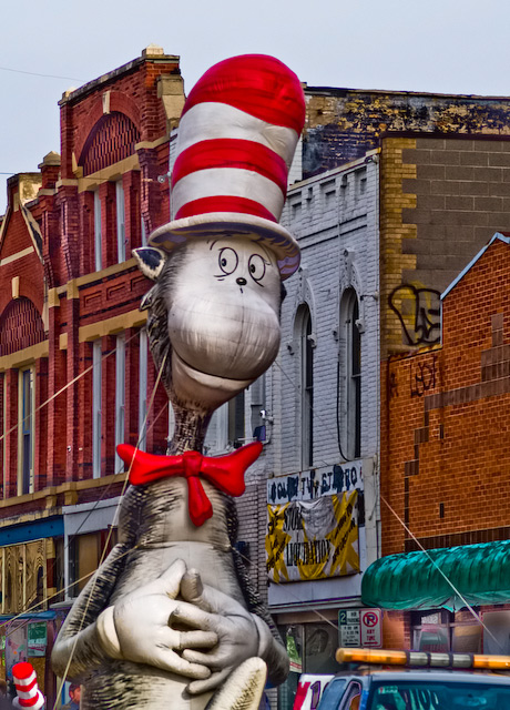 Holiday Parade Cat