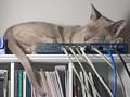 Heatsink Comfort