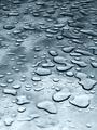 Foggy Drops