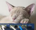Heatsink Closeup
