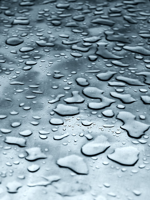 Foggy Drops
