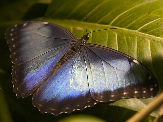 CRW_8785.jpg