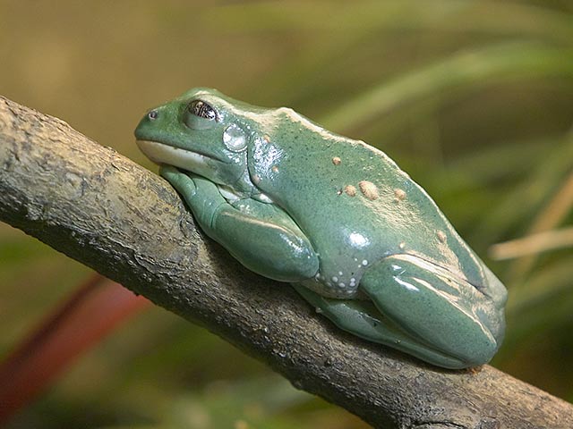 CRW_8825.jpg