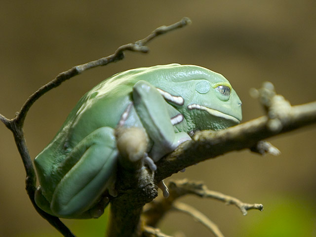 CRW_8810.jpg