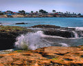 Pacific Tide
