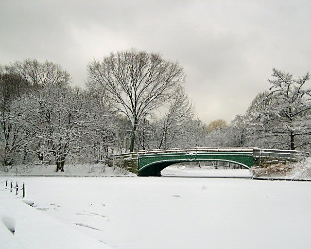 on frozen pond.jpg