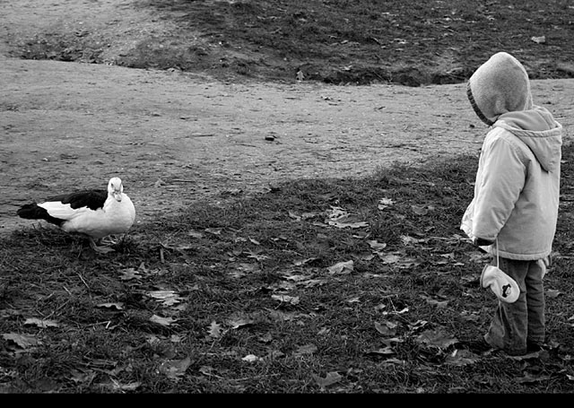 birdandgirl.jpg