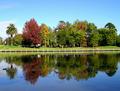 Reflections