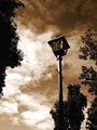 Lamp Post